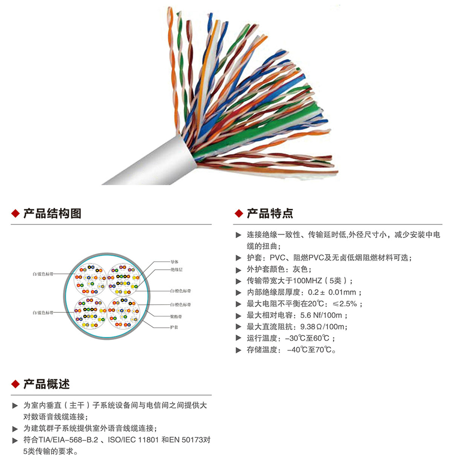 五类大对数双绞线1